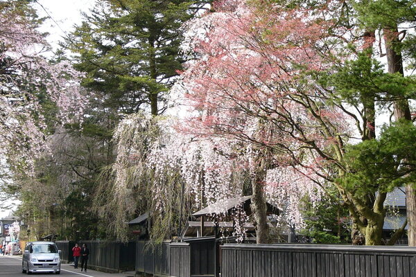 仙北の風景