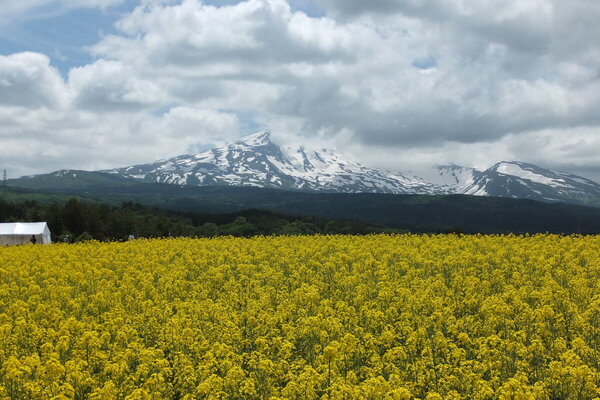 由利本荘の風景