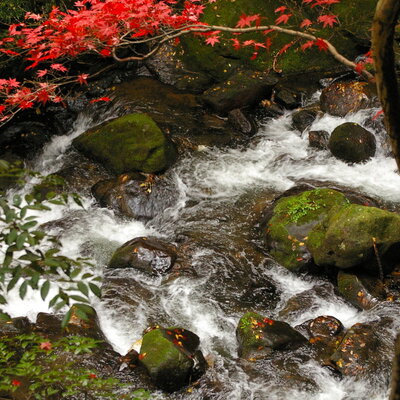 湯河原の風景