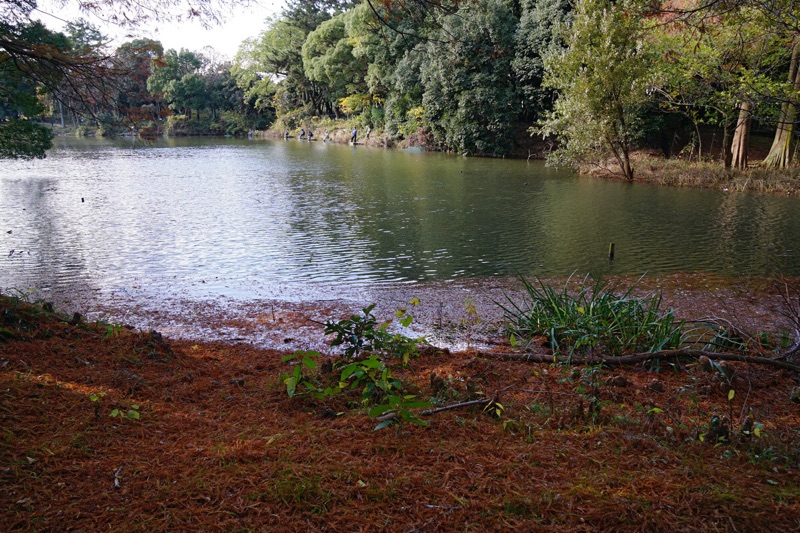 豊中の風景
