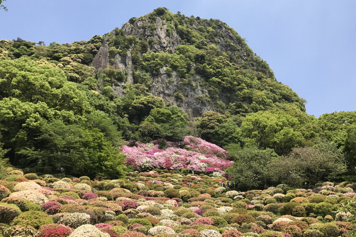 佐賀の風景