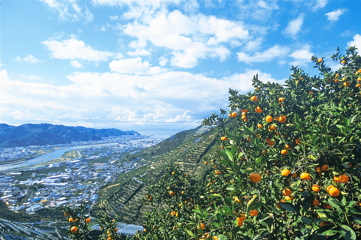 西牟婁の風景