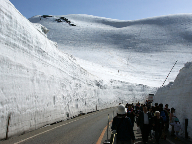 立山雪の大谷